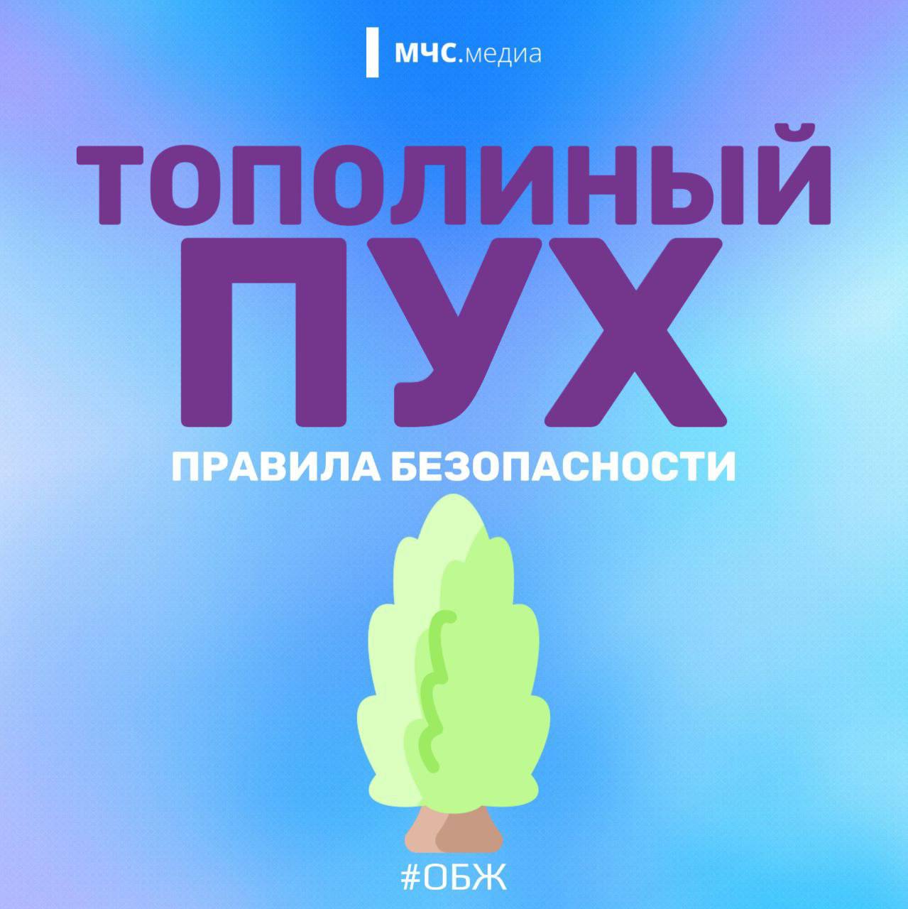 Тополиный пух.jpeg